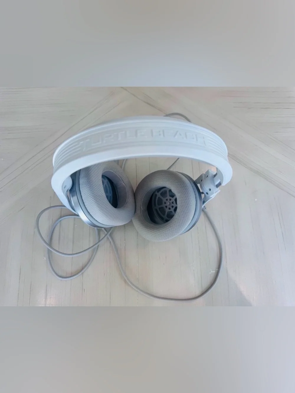 Turtle Beach turtle beach